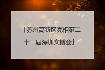 苏州高新区亮相第二十一届深圳文博会