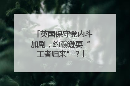 英国保守党内斗加剧，约翰逊要“王者归来”？