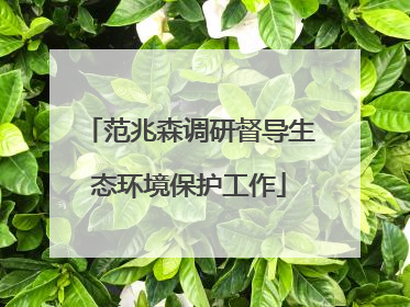 范兆森调研督导生态环境保护工作