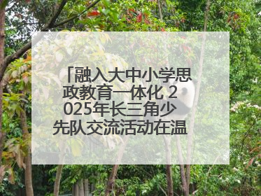 融入大中小学思政教育一体化 2025年长三角少先队交流活动在温岭举办