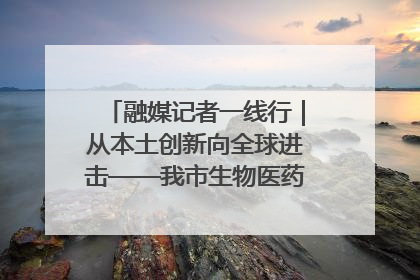 融媒记者一线行｜从本土创新向全球进击——我市生物医药产业破茧突围