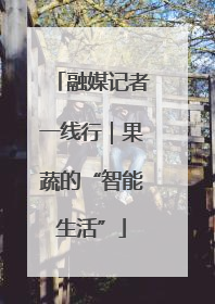 融媒记者一线行｜果蔬的“智能生活”