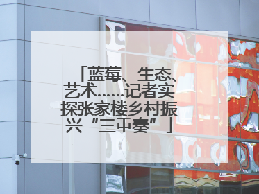 蓝莓、生态、艺术……记者实探张家楼乡村振兴“三重奏”