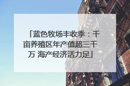 蓝色牧场丰收季：千亩养殖区年产值超三千万 海产经济活力足