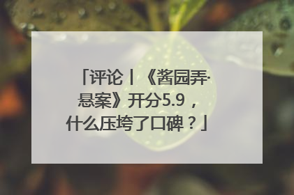 评论丨《酱园弄·悬案》开分5.9，什么压垮了口碑？