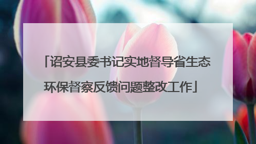 诏安县委书记实地督导省生态环保督察反馈问题整改工作