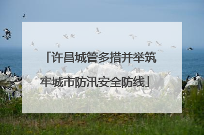 许昌城管多措并举筑牢城市防汛安全防线