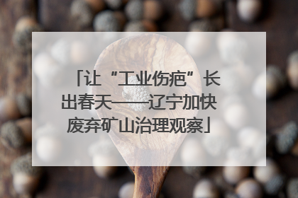 让“工业伤疤”长出春天——辽宁加快废弃矿山治理观察