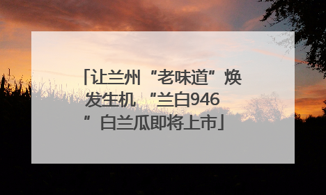 让兰州“老味道”焕发生机 “兰白946”白兰瓜即将上市