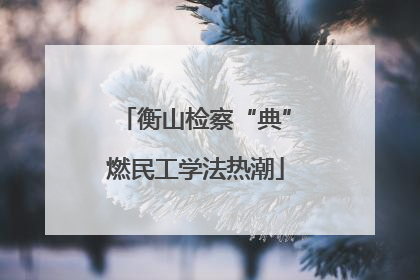 衡山检察“典”燃民工学法热潮