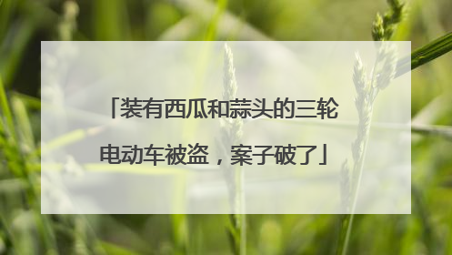 装有西瓜和蒜头的三轮电动车被盗，案子破了