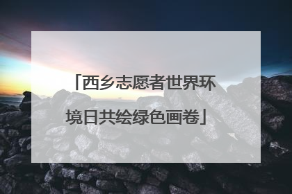 西乡志愿者世界环境日共绘绿色画卷