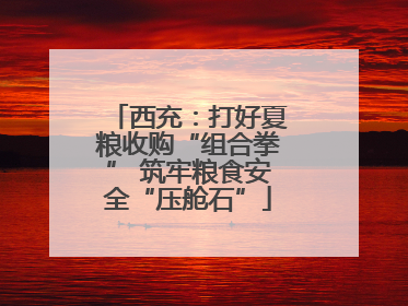 西充：打好夏粮收购“组合拳” 筑牢粮食安全“压舱石”