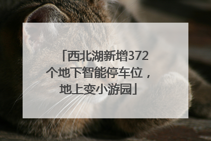 西北湖新增372个地下智能停车位，地上变小游园
