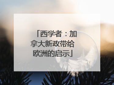 西学者：加拿大新政带给欧洲的启示