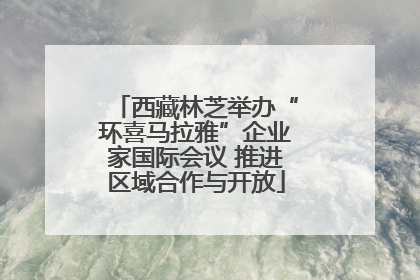 西藏林芝举办“环喜马拉雅”企业家国际会议 推进区域合作与开放