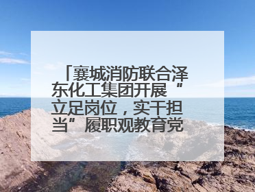 襄城消防联合泽东化工集团开展“立足岗位，实干担当”履职观教育党建联学活动