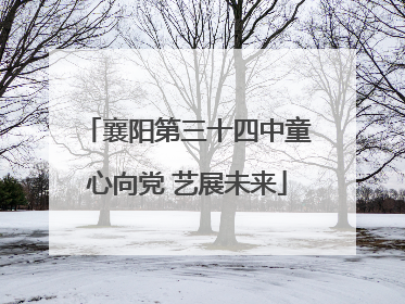 襄阳第三十四中童心向党 艺展未来