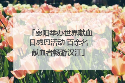 襄阳举办世界献血日感恩活动 百余名献血者畅游汉江