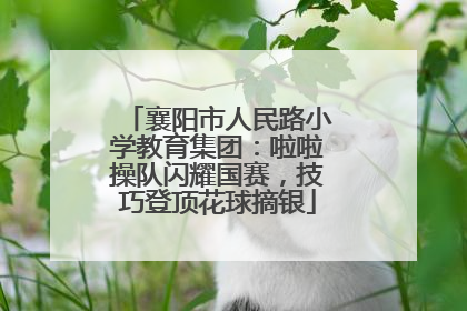 襄阳市人民路小学教育集团：啦啦操队闪耀国赛，技巧登顶花球摘银