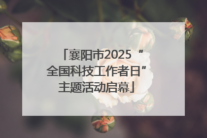 襄阳市2025“全国科技工作者日”主题活动启幕