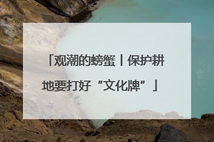 观潮的螃蟹丨保护耕地要打好“文化牌”