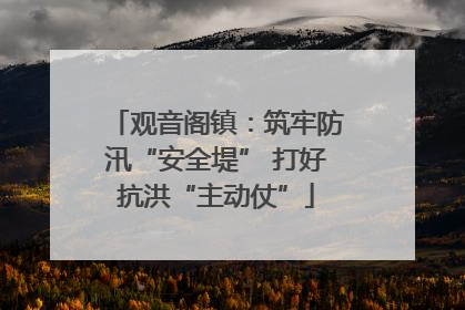 观音阁镇：筑牢防汛“安全堤” 打好抗洪“主动仗”