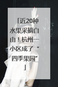 近20种水果采摘自由！杭州一小区成了“四季果园”