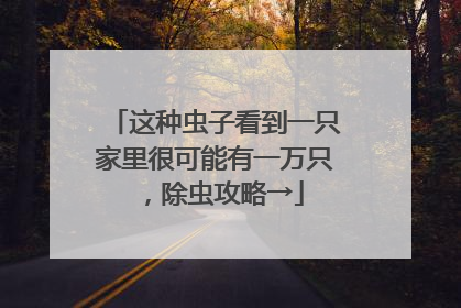 这种虫子看到一只家里很可能有一万只，除虫攻略→