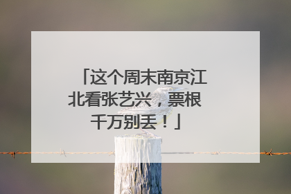 这个周末南京江北看张艺兴，票根千万别丢！