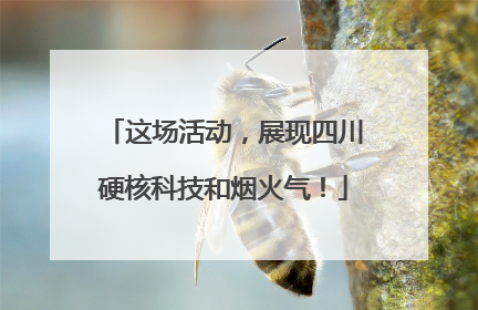 这场活动，展现四川硬核科技和烟火气！
