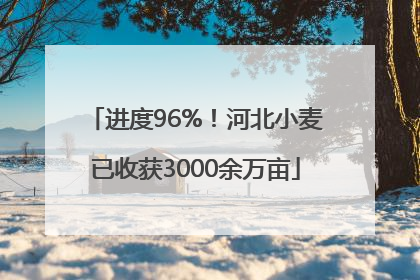进度96%！河北小麦已收获3000余万亩