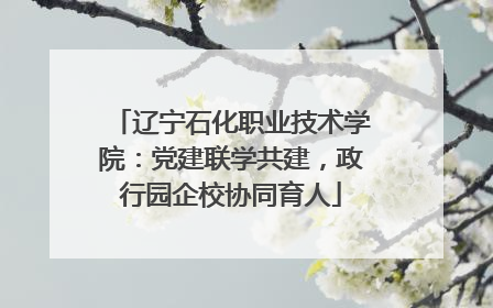 辽宁石化职业技术学院：党建联学共建，政行园企校协同育人