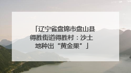 辽宁省盘锦市盘山县得胜街道得胜村：沙土地种出“黄金果”