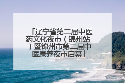 辽宁省第二届中医药文化夜市（锦州站）暨锦州市第二届中医康养夜市启幕