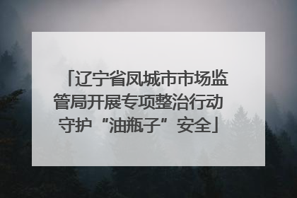 辽宁省凤城市市场监管局开展专项整治行动守护“油瓶子”安全