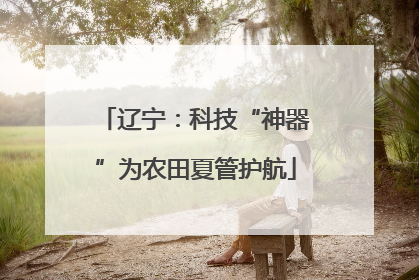 辽宁：科技“神器”为农田夏管护航