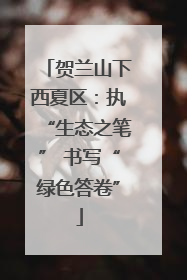 贺兰山下西夏区：执“生态之笔” 书写“绿色答卷”
