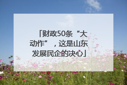 财政50条“大动作”，这是山东发展民企的决心