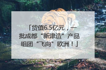 货值6.5亿元，一批成都“新津造”产品组团“飞向”欧洲！