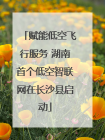 赋能低空飞行服务 湖南首个低空智联网在长沙县启动