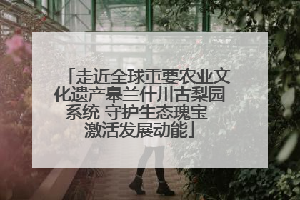 走近全球重要农业文化遗产皋兰什川古梨园系统 守护生态瑰宝 激活发展动能
