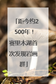 距今约2500年！赛里木湖首次发现岩画群