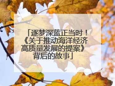 逐梦深蓝正当时！《关于推动海洋经济高质量发展的提案》背后的故事