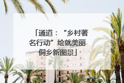通道：“乡村著名行动”绘就美丽侗乡新图景