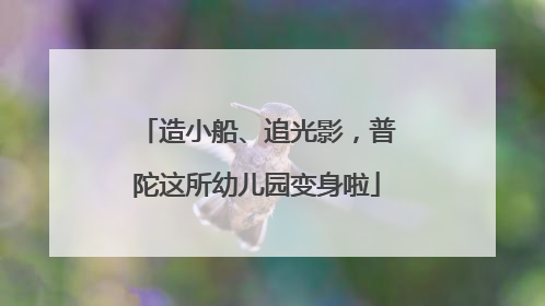 造小船、追光影，普陀这所幼儿园变身啦