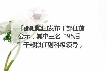 邵阳隆回发布干部任前公示，其中三名“95后”干部拟任副科级领导，均系硕士选调生