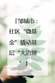 邹城市：社区“微基金”撬动基层“大治理”