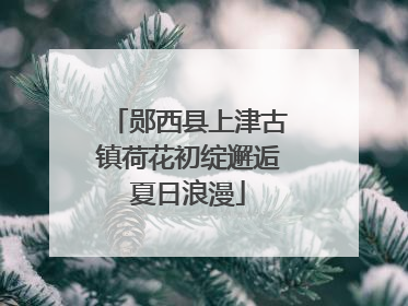郧西县上津古镇荷花初绽邂逅夏日浪漫