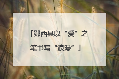 郧西县以“爱”之笔书写“浪漫”